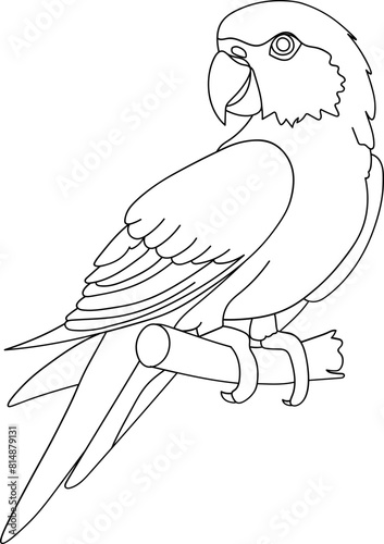 Parrot Bird Doodle