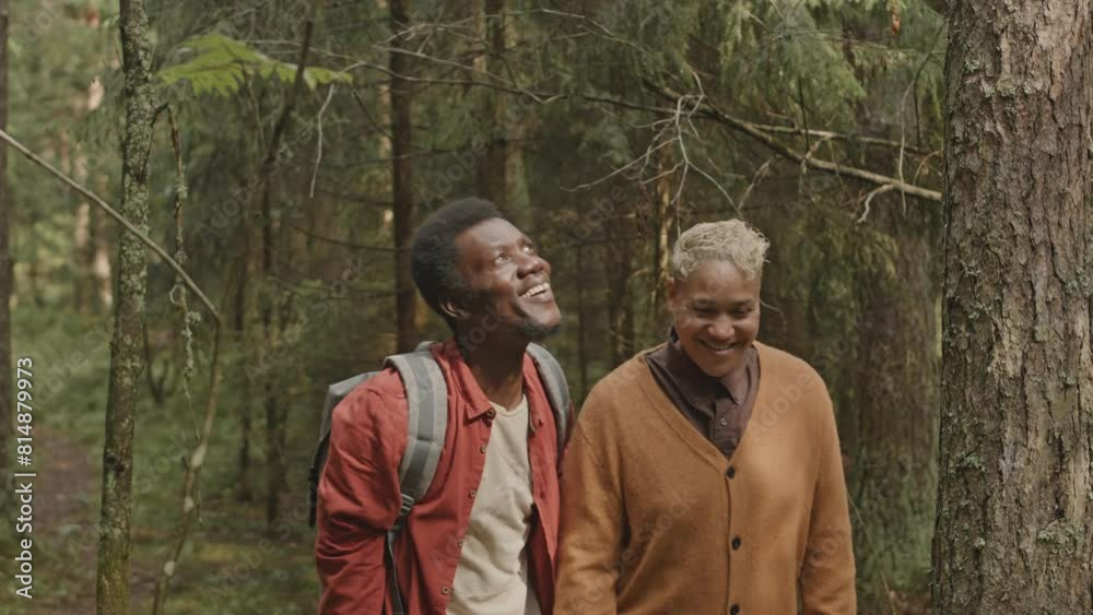 Group of young male hikers with backpacks walking together in woods, enjoying nature around and talking Group of young male hikers with backpacks walking together in woods, enjoying nature around and talking