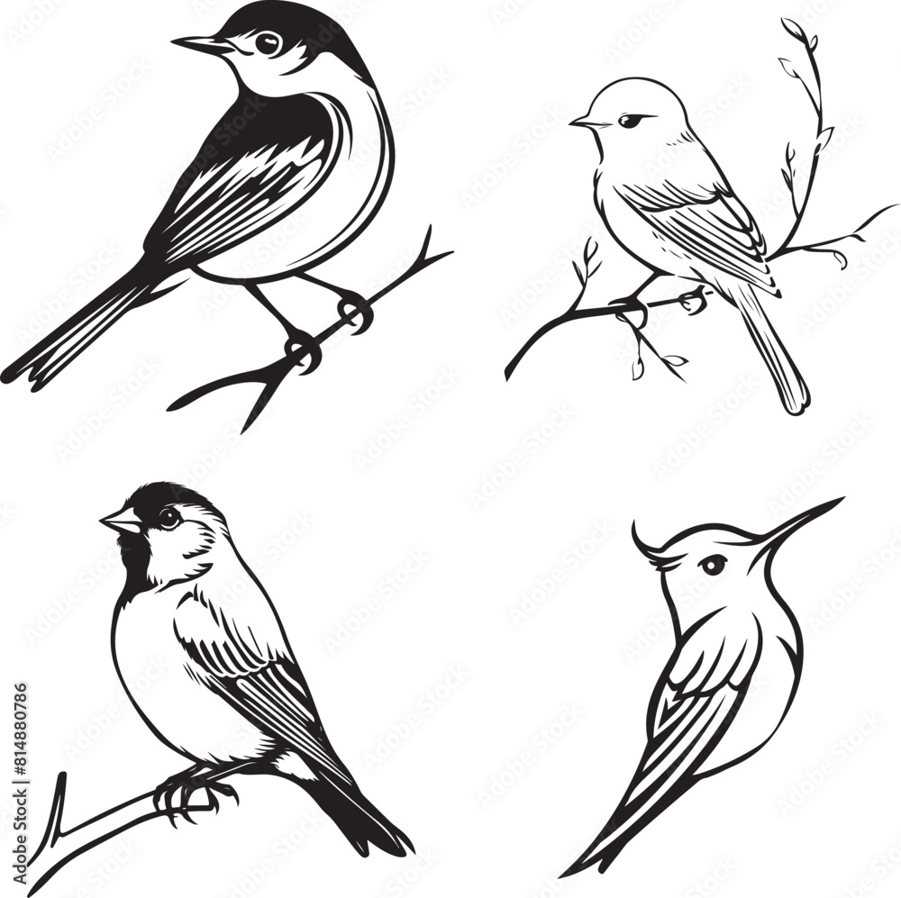 Fototapeta premium black and white drawing of bird outline