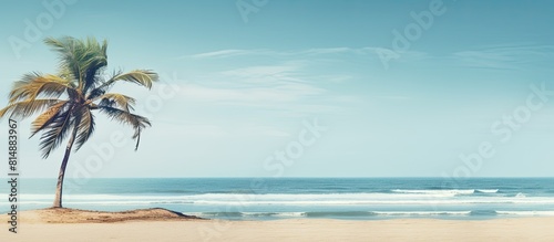 Copy space image featuring a serene beach scene with a solitary palm tree and a vacant wooden structure in the background