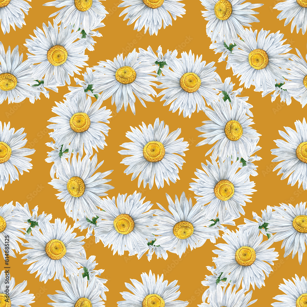 Seamless pattern of watercolor chamomile flowers wreath. Botanical hand painted floral elements. Hand drawn illustration. On ocher background. For fabric, wrapping paper, wallpaper decor