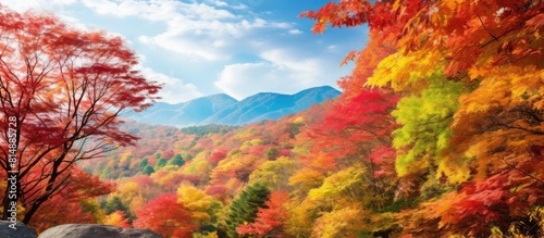 In Hakone Kanagawa Prefecture there is a stunning image of colorful autumn leaves scattered throughout the landscape creating a picturesque scene. Copyspace image photo