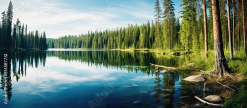 A serene lake nestled in the midst of the enchanting Finnish Lapland surrounded by a picturesque forest A beautiful copy space image