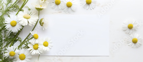 Top view of a white background with a copy space image featuring stunning chamomile flowers and an empty card perfect for adding text © StockKing