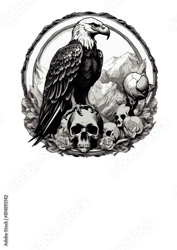 Eagle squatting on human skull