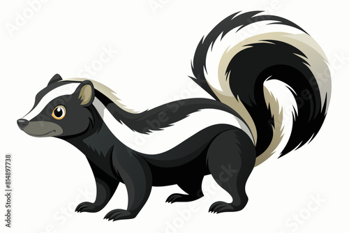 skunk cartoon vector illustration