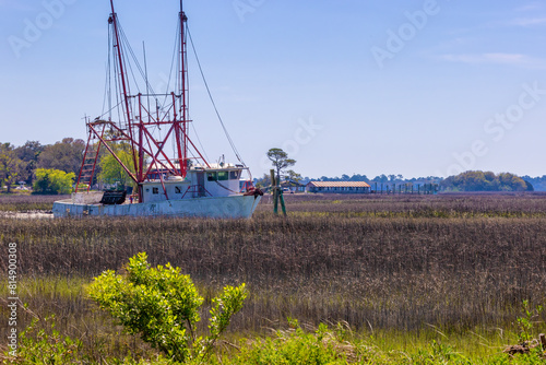 Landscape view of inland wet lands near Charleston, South Carolina, USA