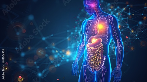 Blue transparent human body with glowing internal organs on a dark blue background with plexus. photo