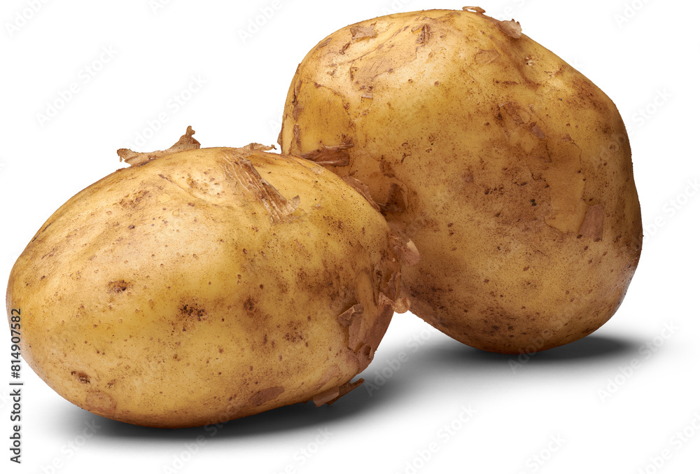 close-up of unpeeled raw potatoes, starchy, tuberous vegetables with skin isolated white background close-up of unpeeled raw potatoes, starchy, tuberous vegetables with skin isolated white background