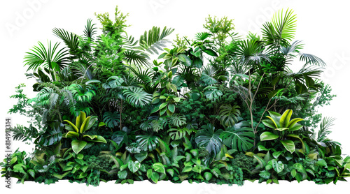 Lush tropical jungle plants arrangement isolated on transparent background png