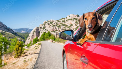 Dachshund Dog Looks out of a Red Car on a Mountain Road. AI Generated