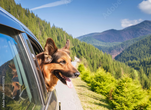 German Shepherd Looking out of a Car Window on a Mountain Road. AI Generated