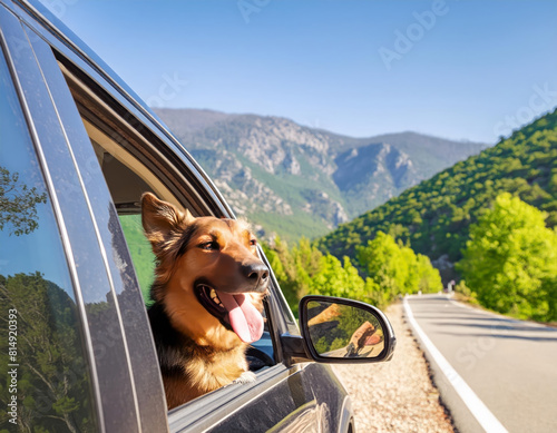 German Shepherd Looking out of a Car on a Mountain Road. AI Generated