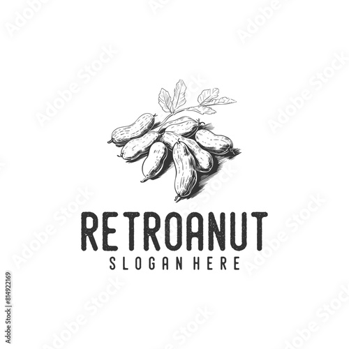 Retro peanut logo vector illustration