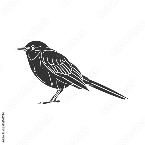 Mockingbird Icon Silhouette Illustration. Bird Vector Graphic Pictogram Symbol Clip Art. Doodle Sketch Black Sign.