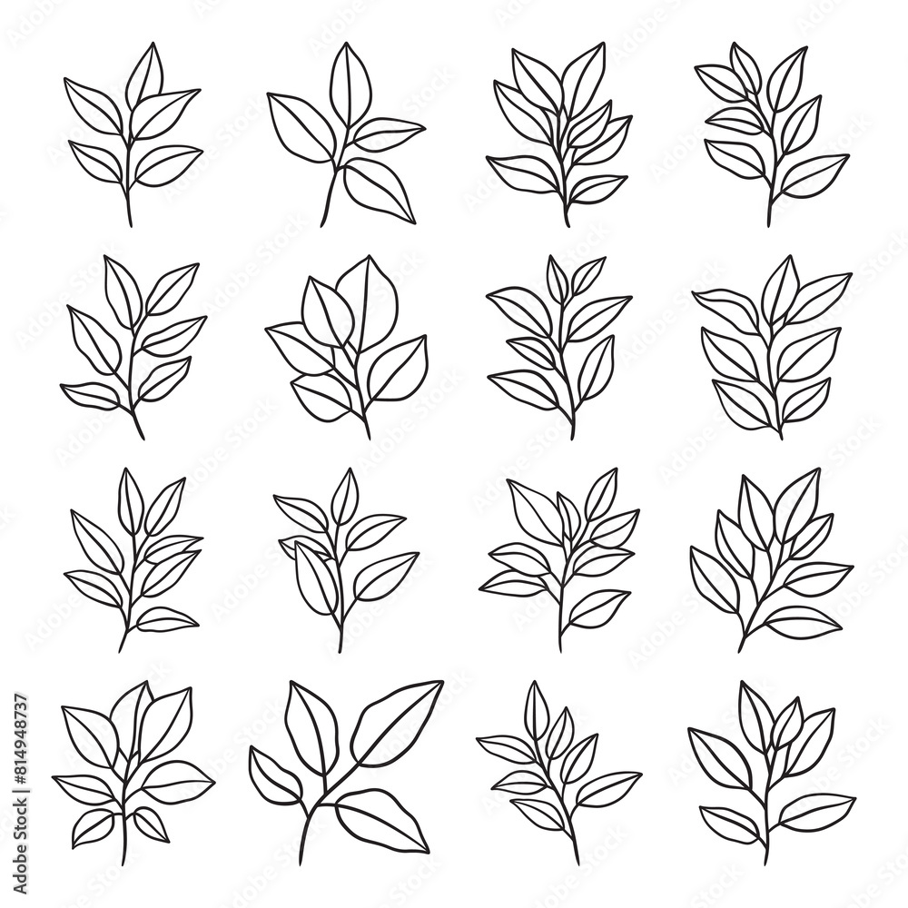 Set of branch and leaves vector