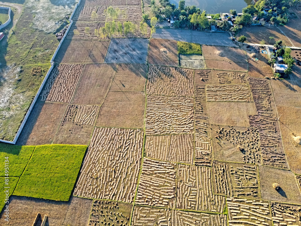 Fototapeta premium top aerial still picture of a indian village with harvested farmland in asia