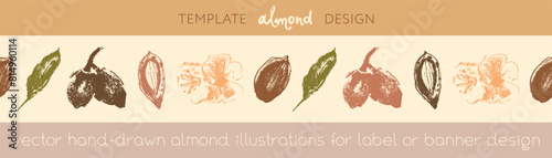 Almond frame for banner background or label template design. Organic almond seamless pattern. Garland almond nuts. Crayon drawings for almonds packaging or marzipan paste tag. Vector floral border.