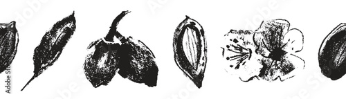 Almond frame for banner background or label template design. Organic almond seamless pattern. Garland almond nuts. Crayon drawings for almonds packaging or marzipan paste tag. Vector floral border.