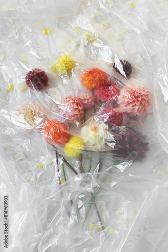 Colorful flowers covered with a plastic bag, environmental pollution eco concept.