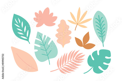 Set of Modern hand drawn plant leaf and tropical shape decoration set. Pastel color doodle bundle for fashion design  summer season or natural