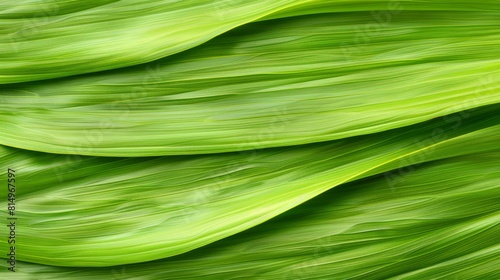  A sharp focus on a single green leaf with a softly blurred upper portion of its adjoining leaves