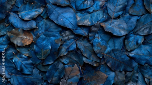  A pile of interconnected blue leaves resting atop one another on a bed below