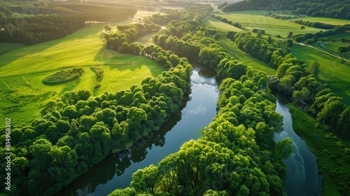 Nature Aerial. Aerial View of Green Forest and River in Tuchola Natural Park, Poland photo