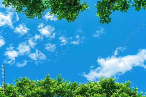 Sky Tree. Green Tree Top Line in Summer Landscape with Blue Sky and Clouds