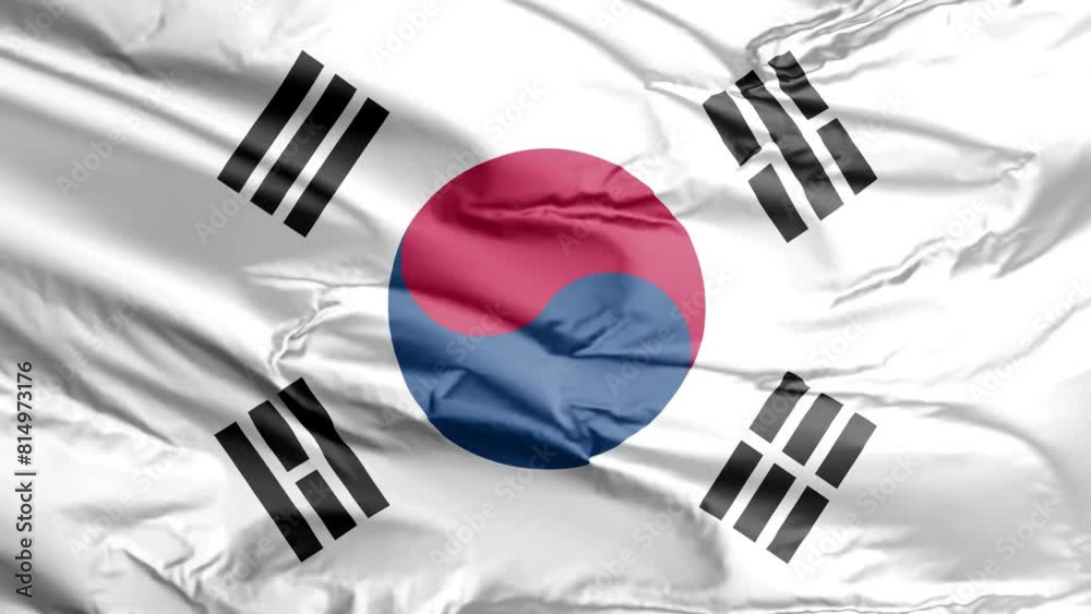 waving flag of south korea