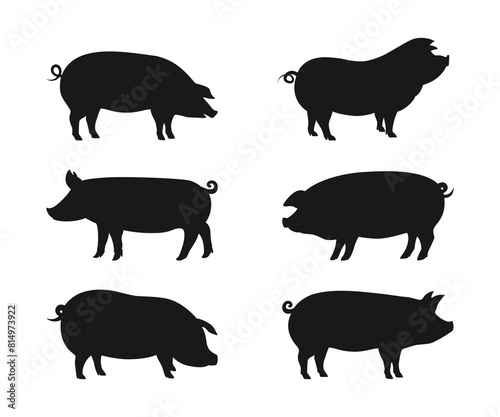 Sign pig. Isolated black silhouette pig. Set of silhouette Pig vector Illustration