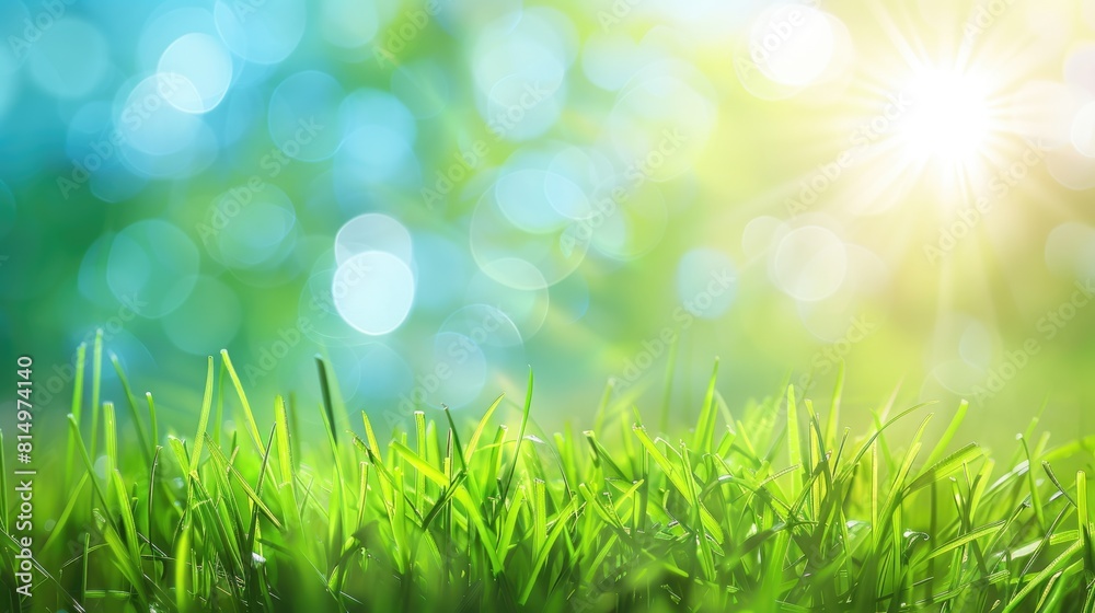 Health Background. Abstract Blurred Green and Blue Sky with Sunlight and Summertime Vibes Health Background. Abstract Blurred Green and Blue Sky with Sunlight and Summertime Vibes