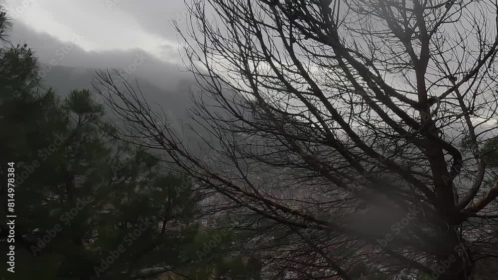 Rainy day in the mountains in Turkey. Rain and fog, mountains and houses, green plants and rain. Rainy day in the mountains in Turkey. Rain and fog, mountains and houses, green plants and rain.