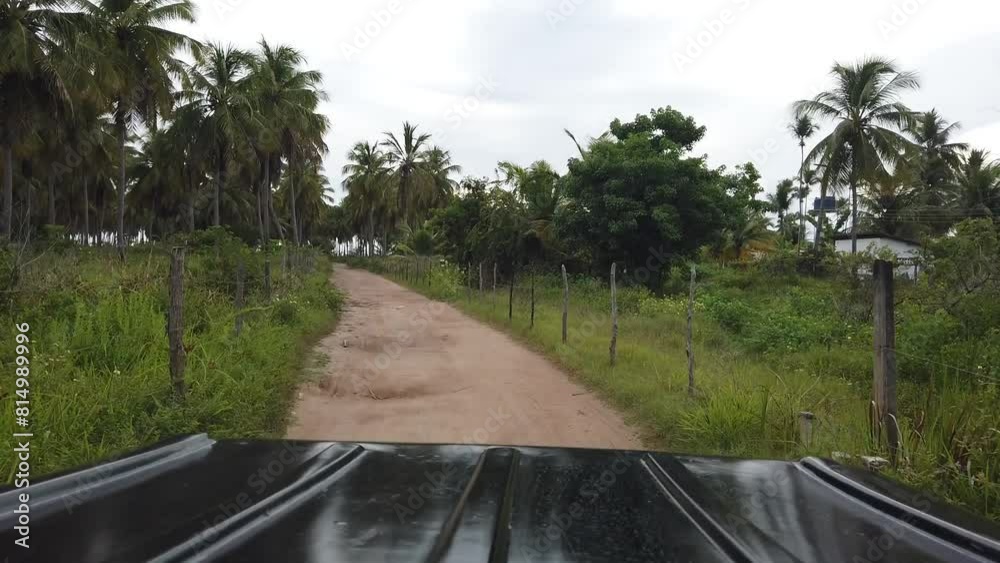 Passeio Buggy Nordeste Brasil Aventura Praia Areias Dunas Emoção Litoral Natureza Paisagem Exploração Turismo Viagem Radicais Diversão Veículo Experiência Viagens Excursão Atrativo