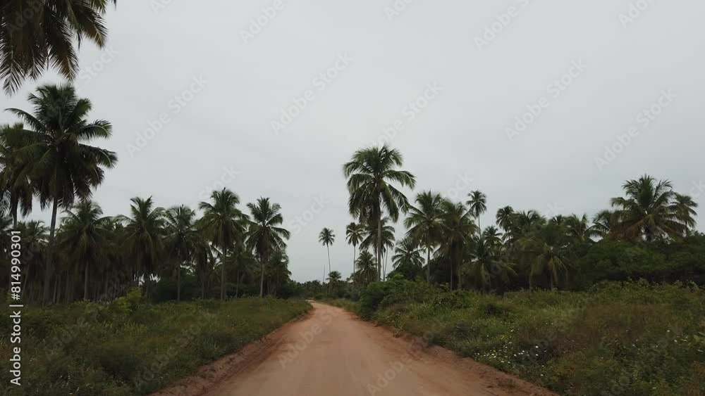 Passeio Buggy Nordeste Brasil Aventura Praia Areias Dunas Emoção Litoral Natureza Paisagem Exploração Turismo Viagem Radicais Diversão Veículo Experiência Viagens Excursão Atrativo