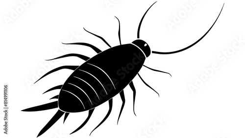  Silverfish and svg file © Ayon