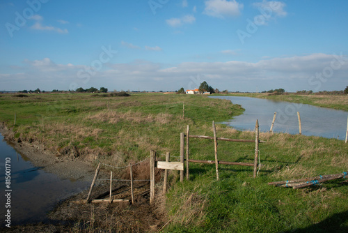 marais; region Pays de Loire; marais Breton; 85, Vendée, Loire Atlantique, France photo
