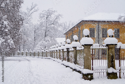 Nevicata invernale nel parco di Monza presso il viale della villa mirabellino photo