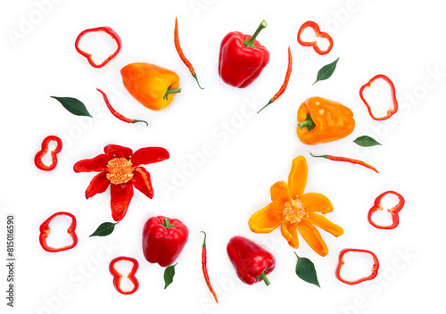 Red, orange yellow bell peppers ( Capsicum annuum ) and red chili pepper ( Capsicum frutescens ) with green leaves on a white background with space for text. Top view, flat lay © Anastasiia Malinich