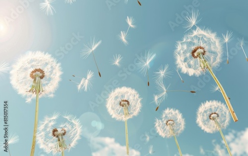 Dandelion seeds drifting in a clear blue sky.