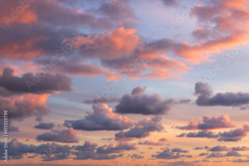 Small clouds in dramatic real sky at sunset texture background overlay. © stevanzz