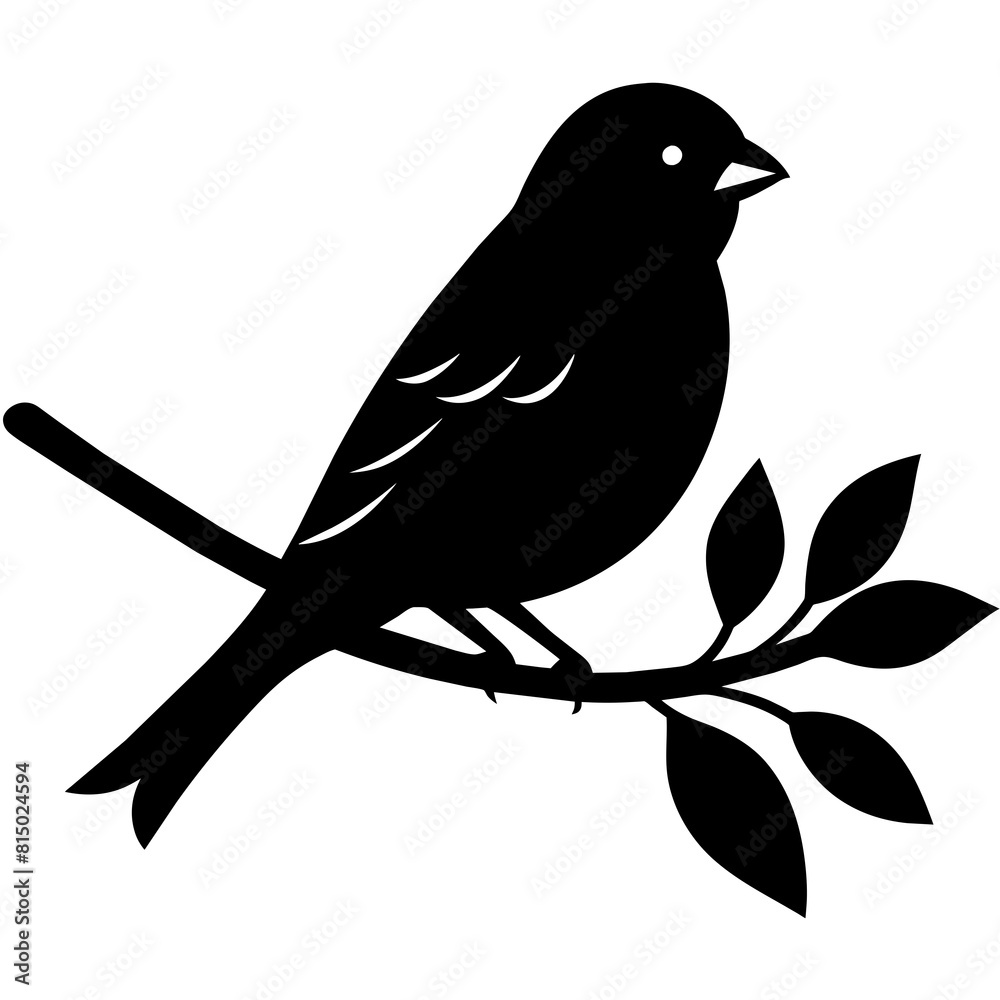 Obraz premium bird on a branch