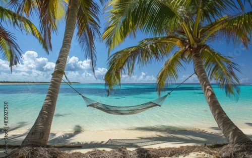 Tropical beach with a hammock strung between palm trees  clear blue water.