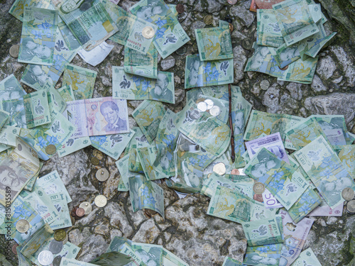 Money at the bottom of Bran Castle Well