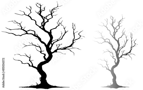 silhouette of a tree Tree without leaves silhouettes bundle Set of scary tree dead tree silhouettes Leafless tree set vector