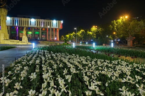 Bishkek, Kyrgyzstan. April 29, 2024. Fading white tulips in the evening city park. photo