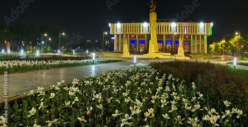 Bishkek, Kyrgyzstan. April 29, 2024. Fading white tulips in the evening city park.
