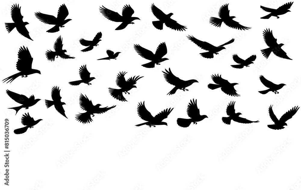 Fototapeta premium flock of birds 