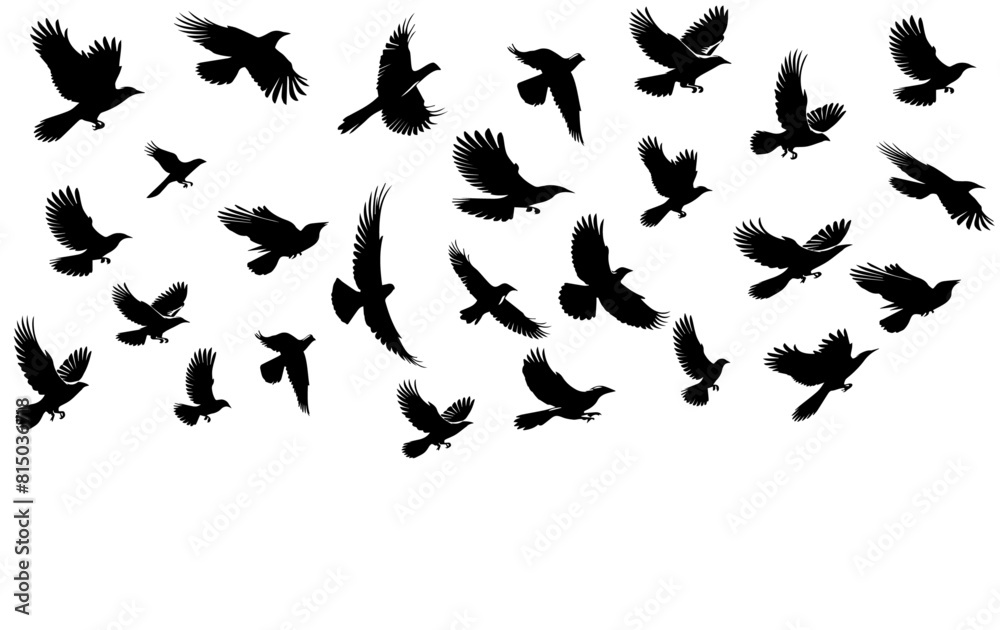 A flock of flying birds silhouettes of birds A flock of flying birds silhouettes of birds
