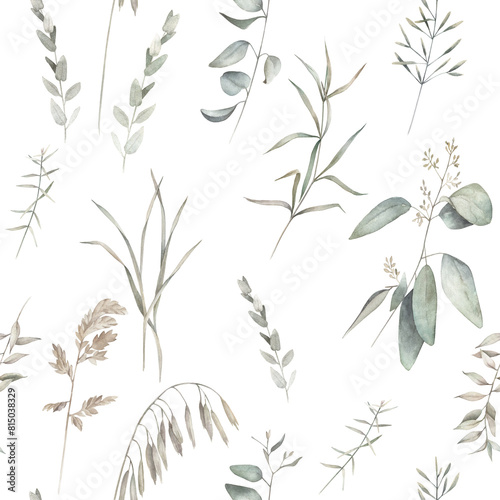 Organic herbal seamless pattern with eucalyptus branches. Watercolor greenery print on white background.